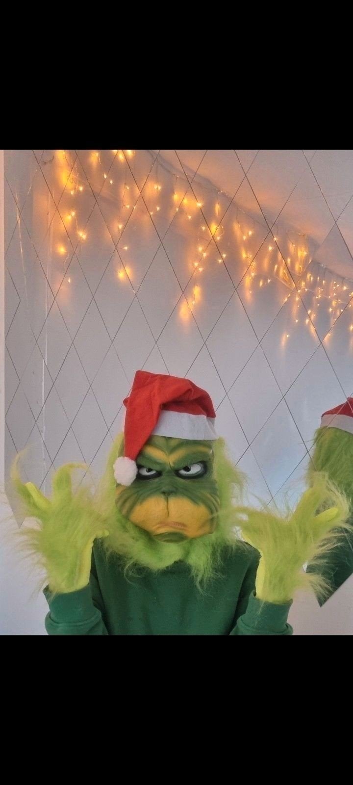 Grinch Masker en Handschoenen Set - Kerst Feestartikel, Ophalen of Verzenden, Nieuw, Feestartikel, Kerst of Sinterklaas