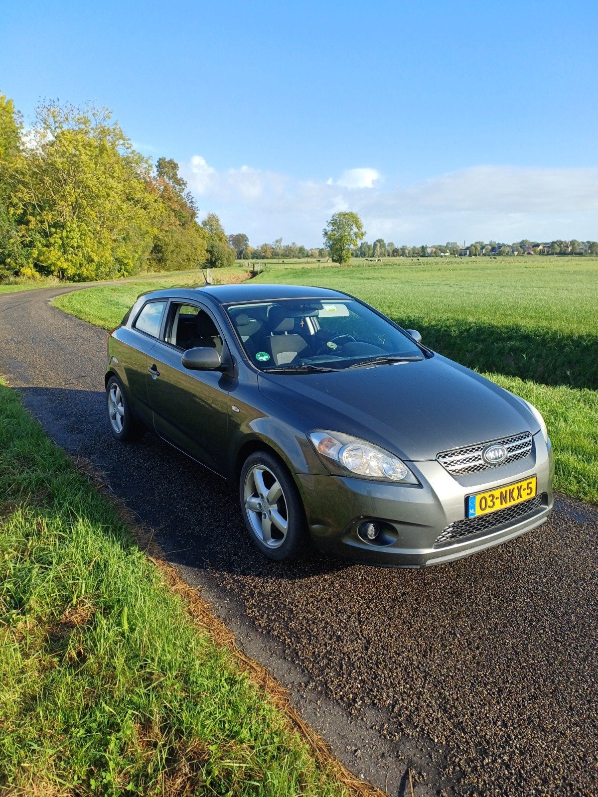 Kia (Pro) Cee d 1.4 Cvvt 2010 Grijs, Auto's, Voorwielaandrijving, 4 cilinders, 1396 cc, Origineel Nederlands