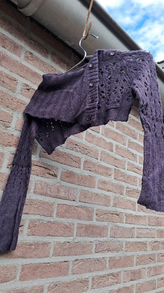 Mexx kort paars hip vest maat 134-140, Kinderen en Baby's, Kinderkleding | Maat 134, Ophalen of Verzenden, Mexx, Meisje, Trui of Vest