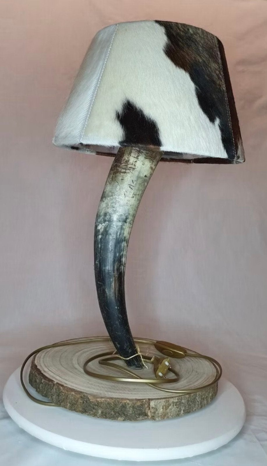 Unieke Hoornlamp met landelijke uitstraling, Ophalen of Verzenden, Gebruikt, Hout