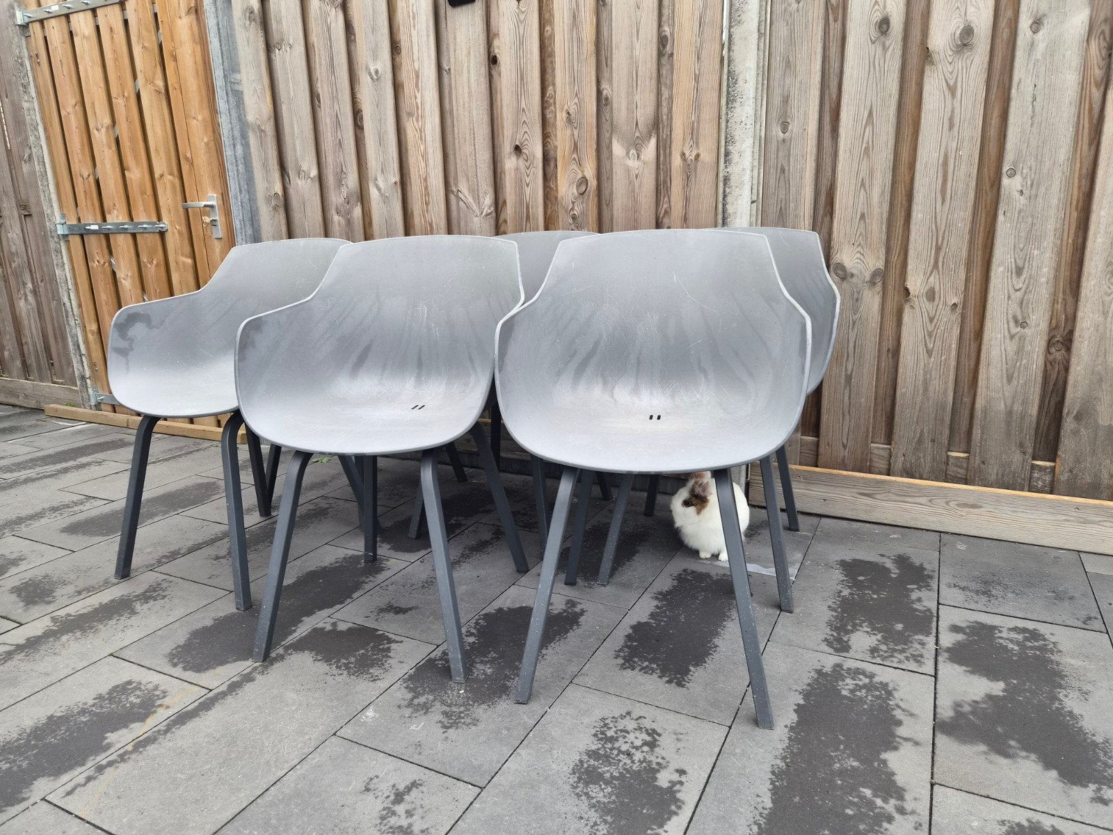6x LS Life Style tuinstoelen - grijs kunststof, Tuin en Terras, Tuinstoelen, Ophalen, Gebruikt, Kunststof