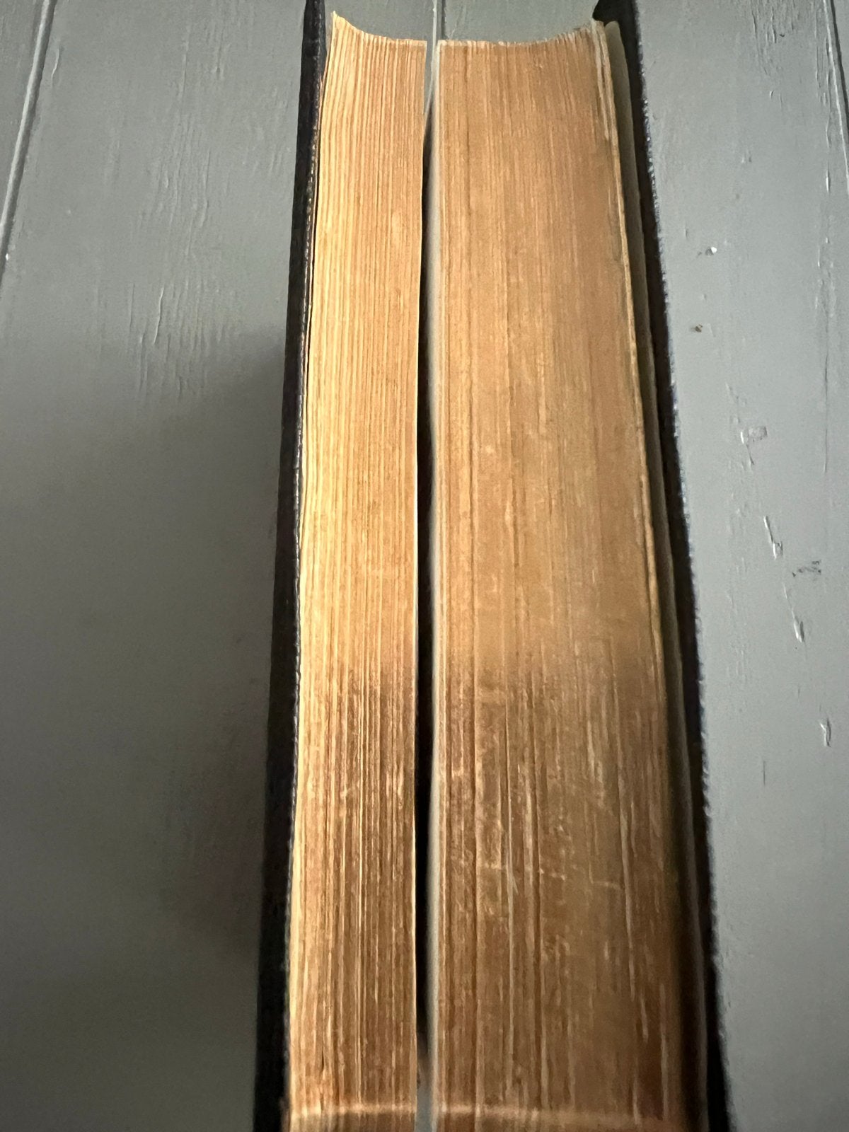 Bijbel Psalmen - Zwart, Compact en Draagbaar, Ophalen of Verzenden