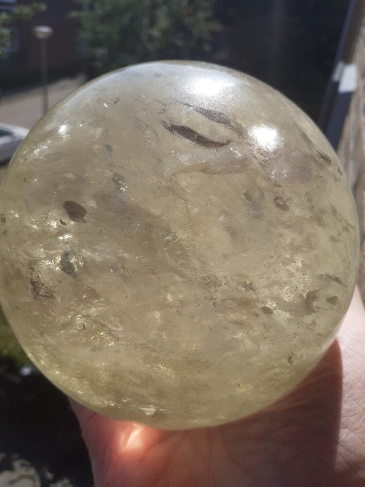 Citrien Bol van 2.2 Kilo/12 Cm, Ophalen of Verzenden