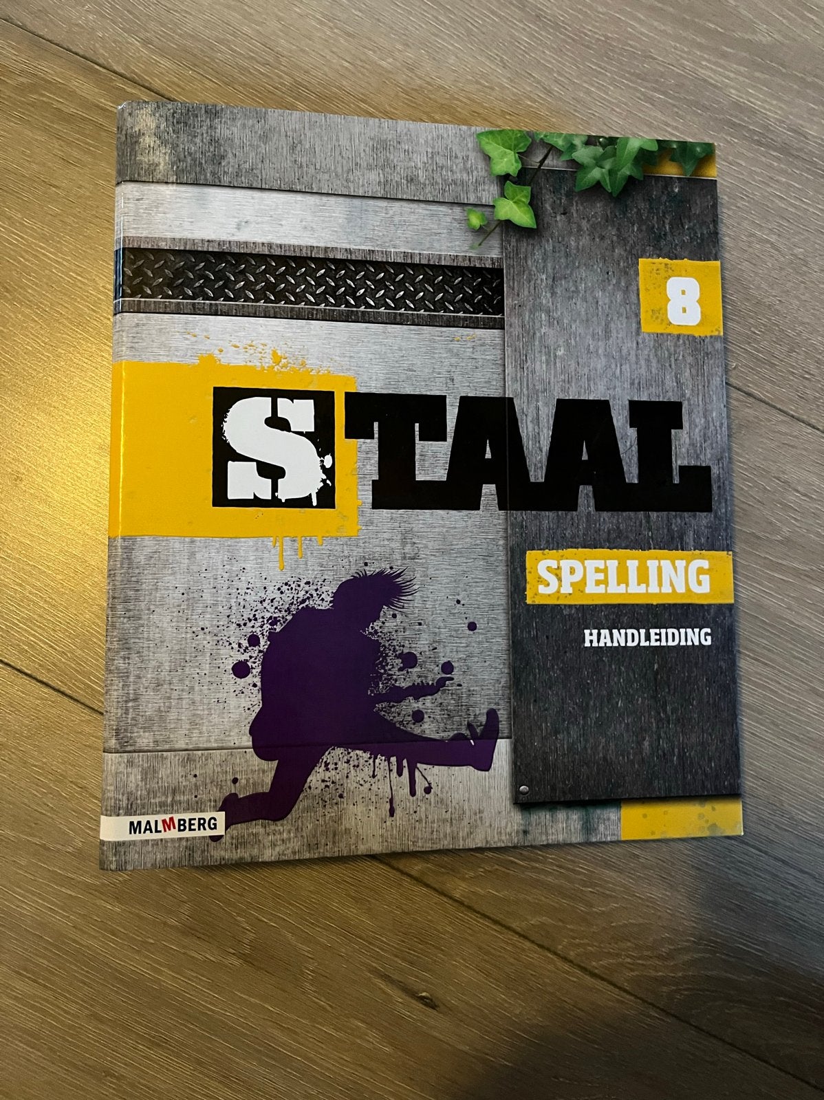Staal Spelling Handleiding Groep 8 - incl toetsen, Ophalen of Verzenden, Alpha, Gelezen, Overige niveaus
