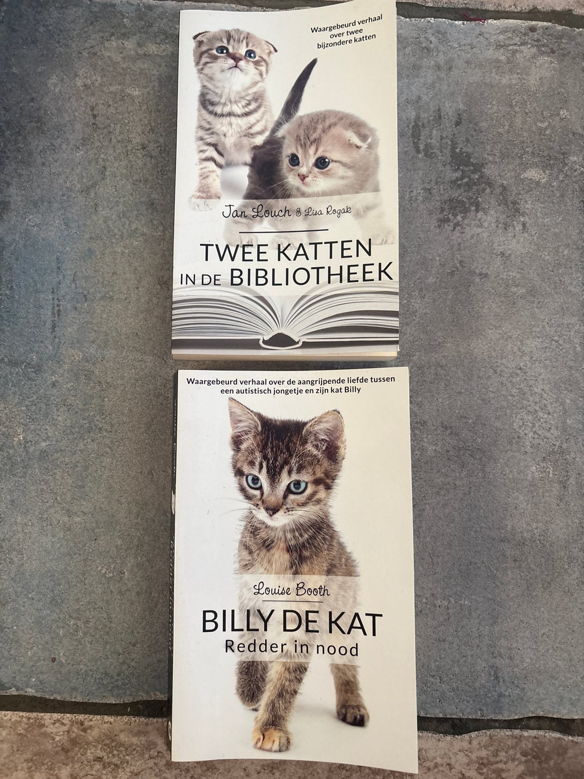 Leesboeken, Boeken, Dieren en Huisdieren, Ophalen of Verzenden, Gelezen, Katten