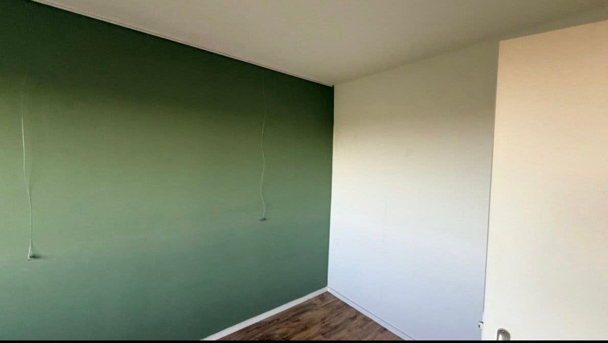 Betaalbare Klusjeman Schilder Laminaat / Amsterdam  Den Haag, Vanaf 10 jaar, Overige vormen
