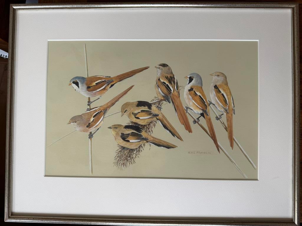 Illustraties baardmannetjes KHE Franklin, Ophalen