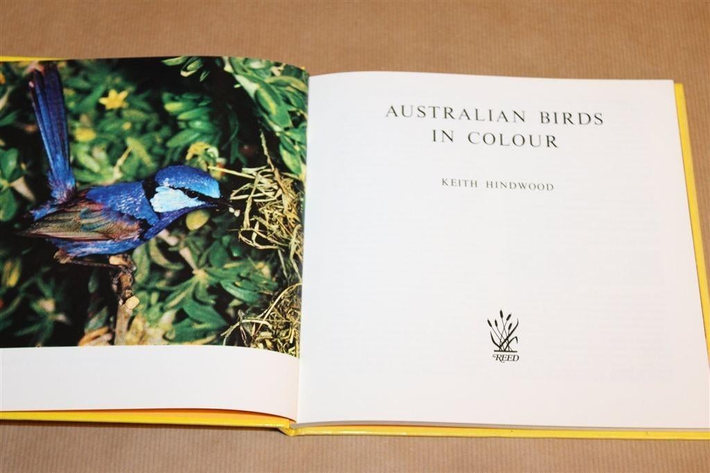 Australian Birds — Fraai Fotoboek — Australische Vogels, Ophalen of Verzenden, Gelezen, Vogels