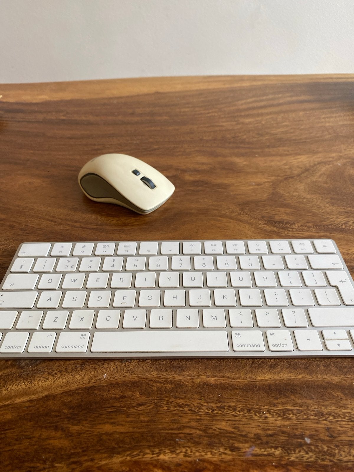 Apple Magic Keyboard & Logitech draadloze muis