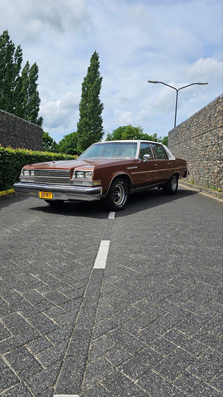 Buick Electra park avenue 6.6 v8, Bruin, Bedrijf, 6 stoelen, Sedan