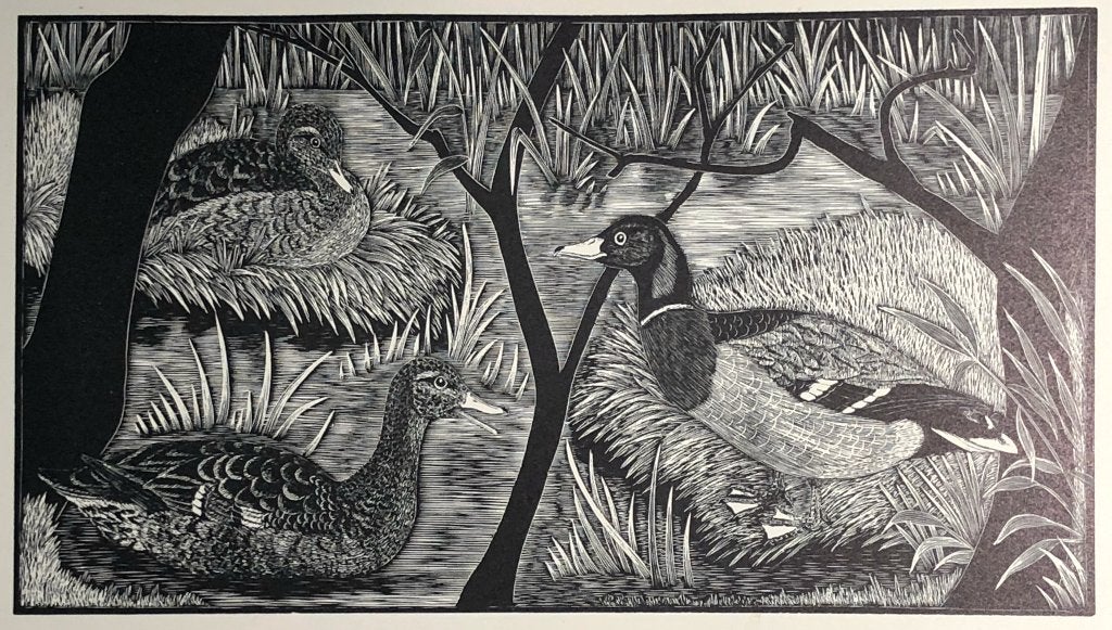 Mooie, betaalbare kunst v/h Grafiekkabinet E.F. Daglish, Ophalen of Verzenden
