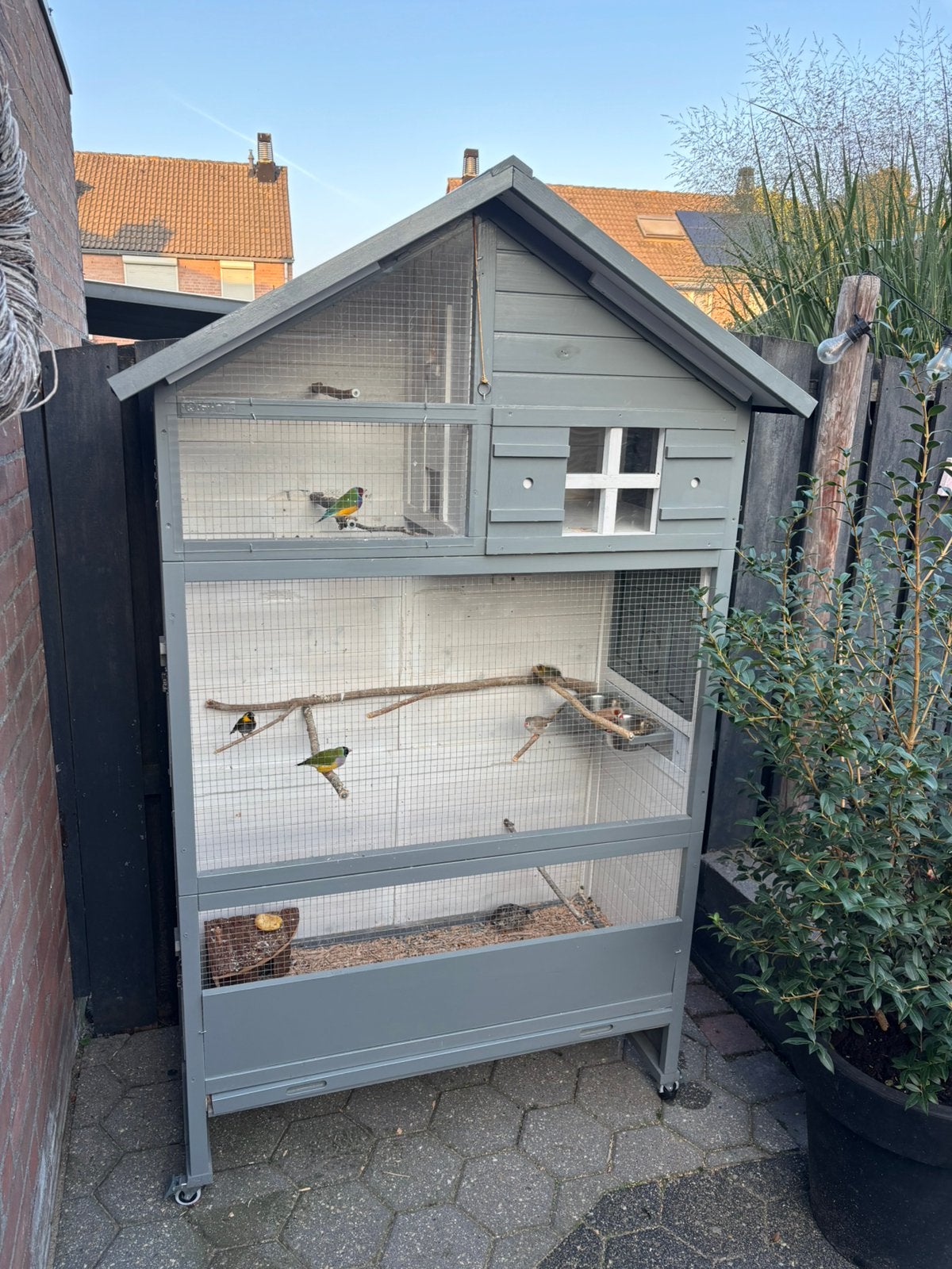 Voliere met vogels en toebehoren, Dieren en Toebehoren, Ophalen, Gebruikt, Hout, Volière