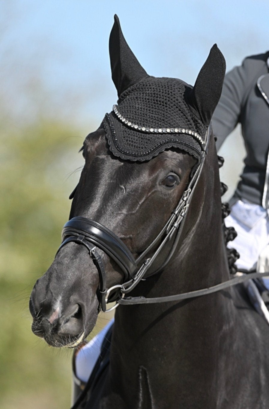 Zwart oornetje kentucky met strass maat full, Dieren en Toebehoren, Paarden en Pony's | Overige Paardenspullen, Ophalen of Verzenden