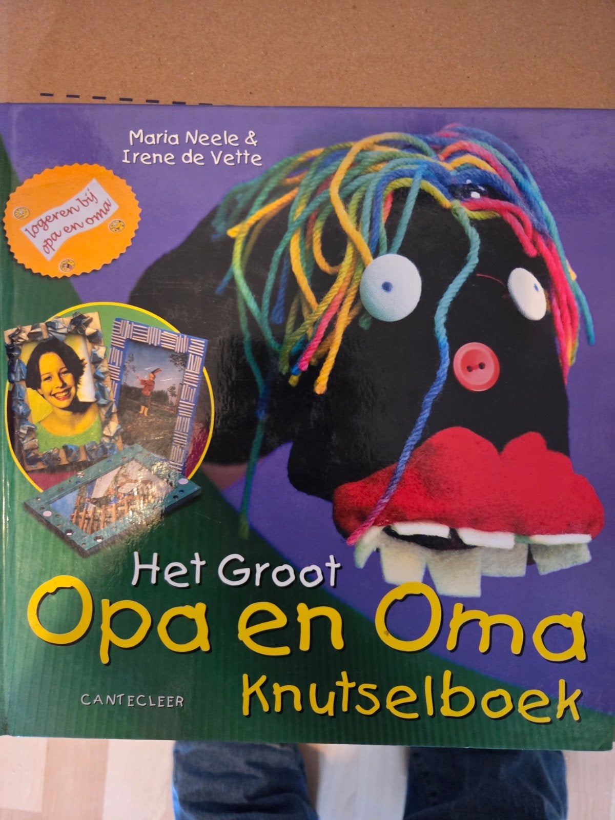 Het Groot Opa en Oma Knutselboek, Ophalen of Verzenden, Zo goed als nieuw, Maria Neele & Irene de Vette, Scrapbooking en Knutselen