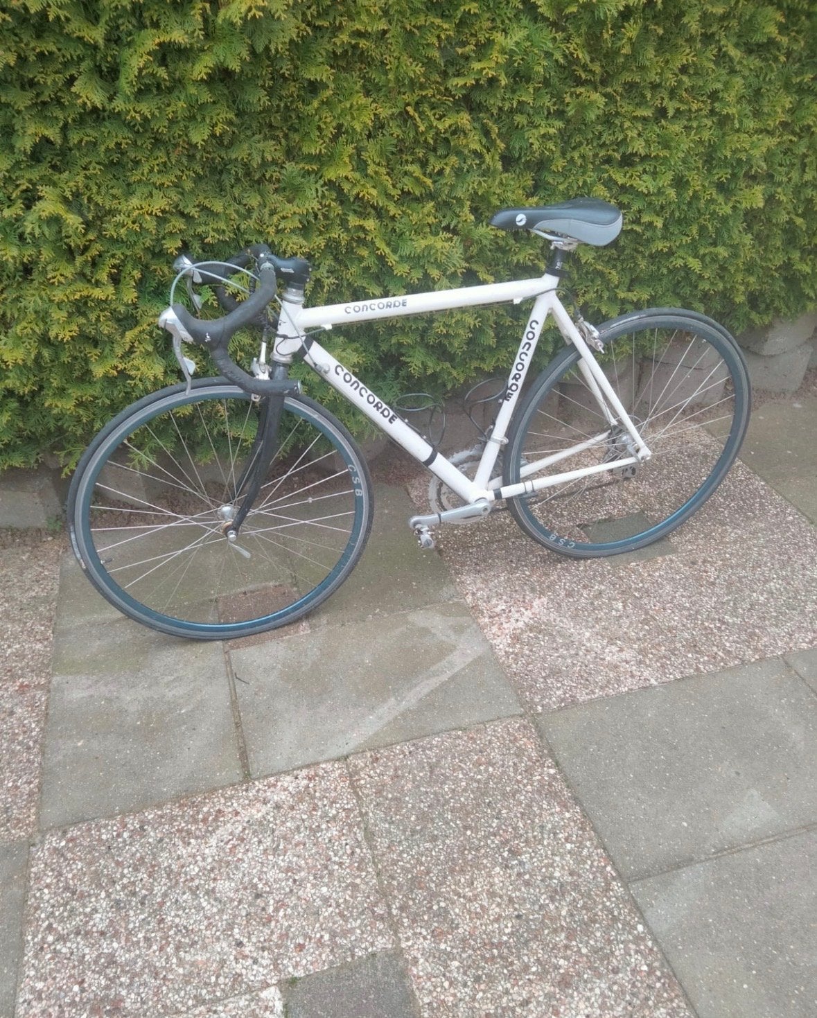 Concorde racefiets, Fietsen en Brommers, Fietsen | Racefietsen, Gebruikt, Overige merken, Meer dan 20 versnellingen, Overige maten