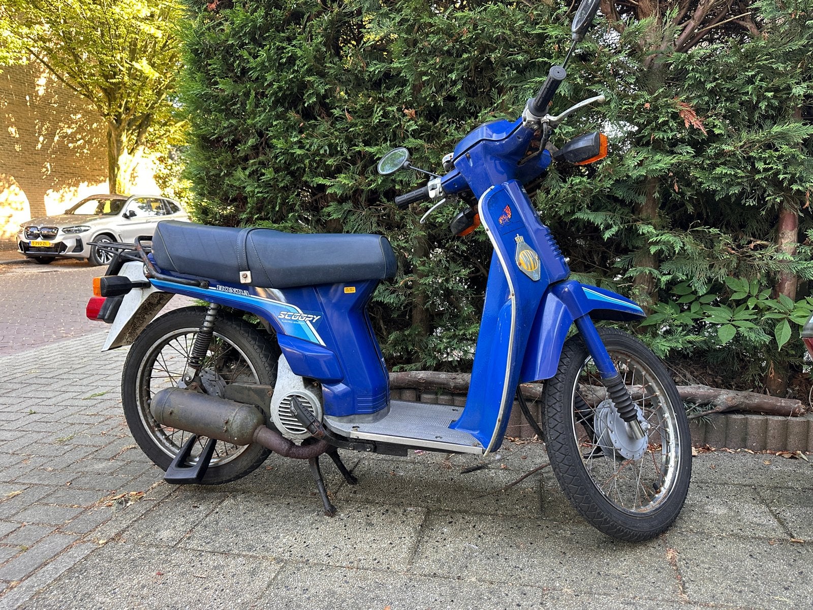Blauwe Honda Scoopy Scooter - Goed Onderhouden, Ophalen, Gebruikt, Benzine, Overige merken