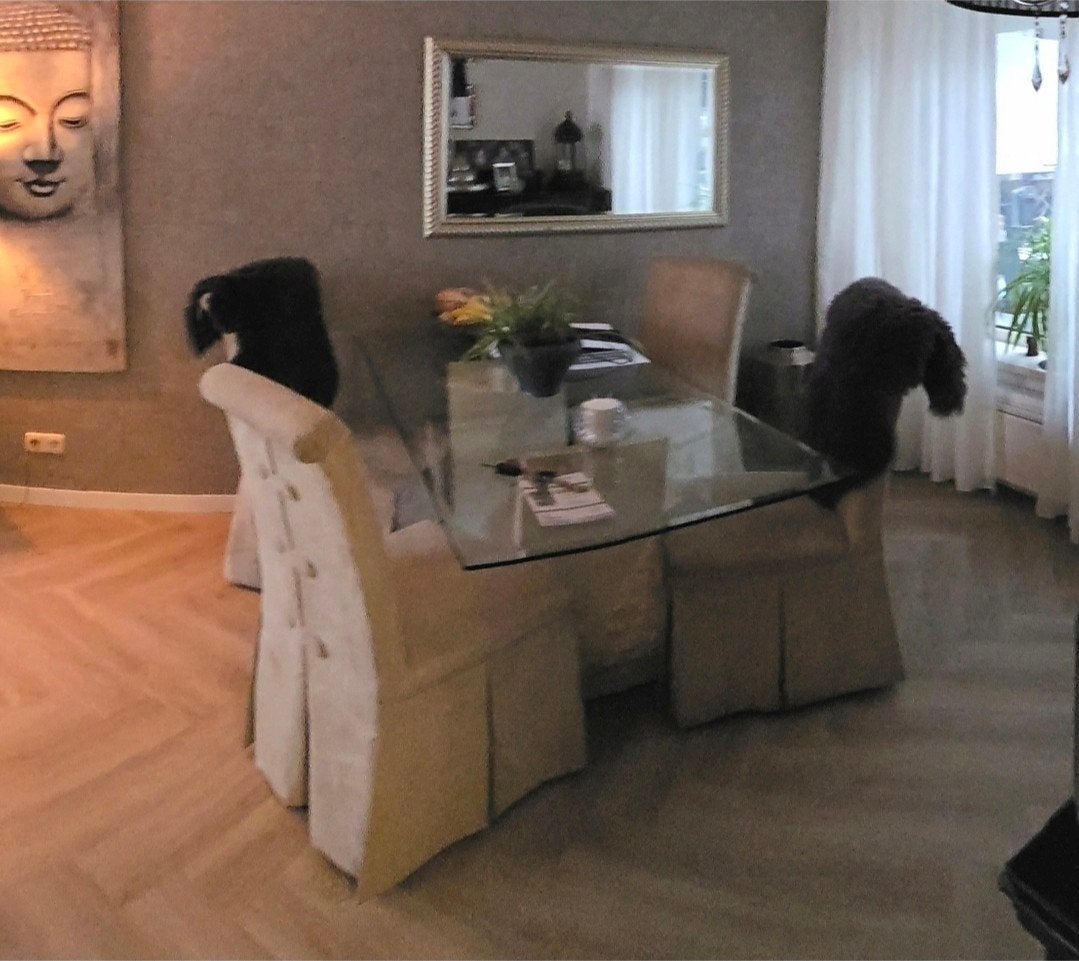 Fossiel steen eettafel met 6 stoelen, Gebruikt, Stone, Vijf personen of meer, 150 tot 200 cm