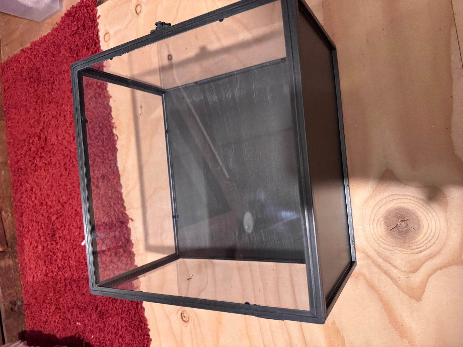 Ikea Barkhyttan wandvitrinekast / displaybox (15 stuks), Huis en Inrichting, Minder dan 50 cm, Gebruikt, Ophalen of Verzenden