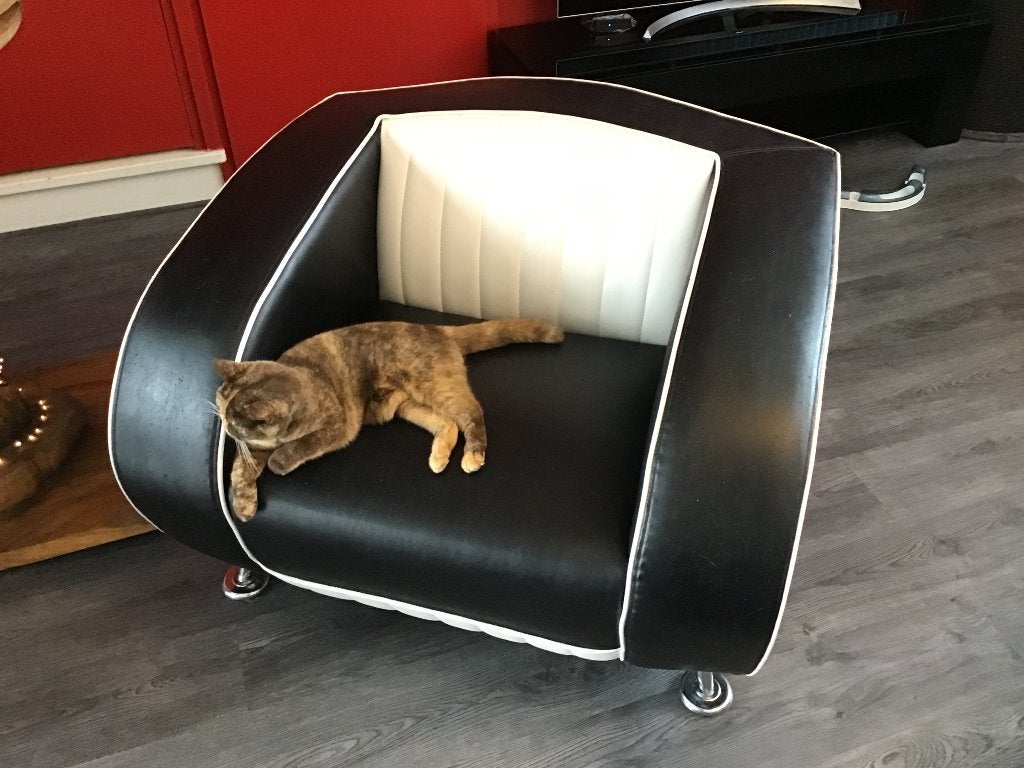 Bel air stoel, Huis en Inrichting, Stoelen, Overige materialen, Gebruikt, Zwart, Eén