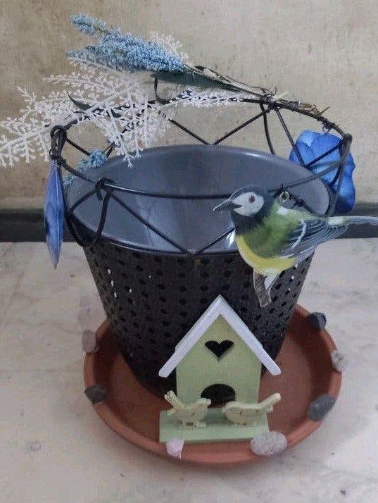 Vogelbadjes ...🦜🌿🐦‍⬛🌊....per stuk, Ophalen