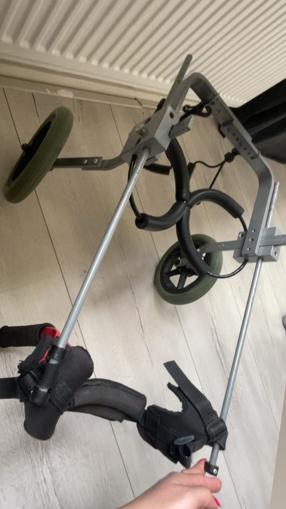 Honden rolstoel achterpoten, Dieren en Toebehoren, Overige Dieren-accessoires, Gebruikt, Ophalen of Verzenden