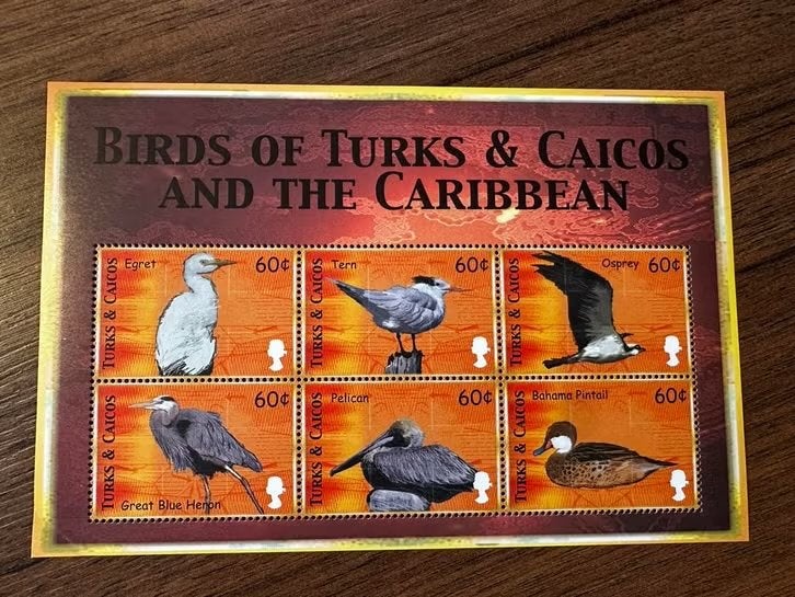Turks & Caicos 2000 Vogels postfris velletje, Ophalen of Verzenden, Postfris