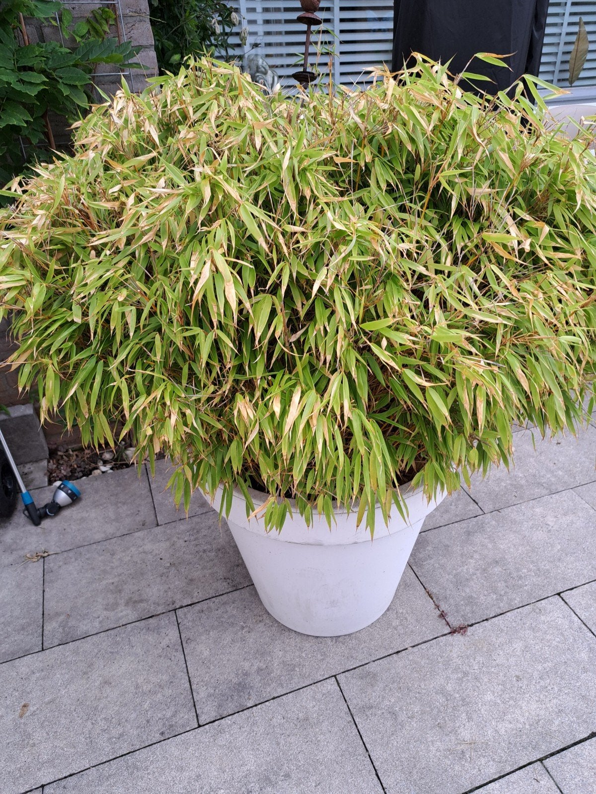 Grote witte bloempot met bamboe, 50 cm doorsnede, Tuin en Terras, Bloempotten, Kunststof, Gebruikt, 40 cm of meer, Rond