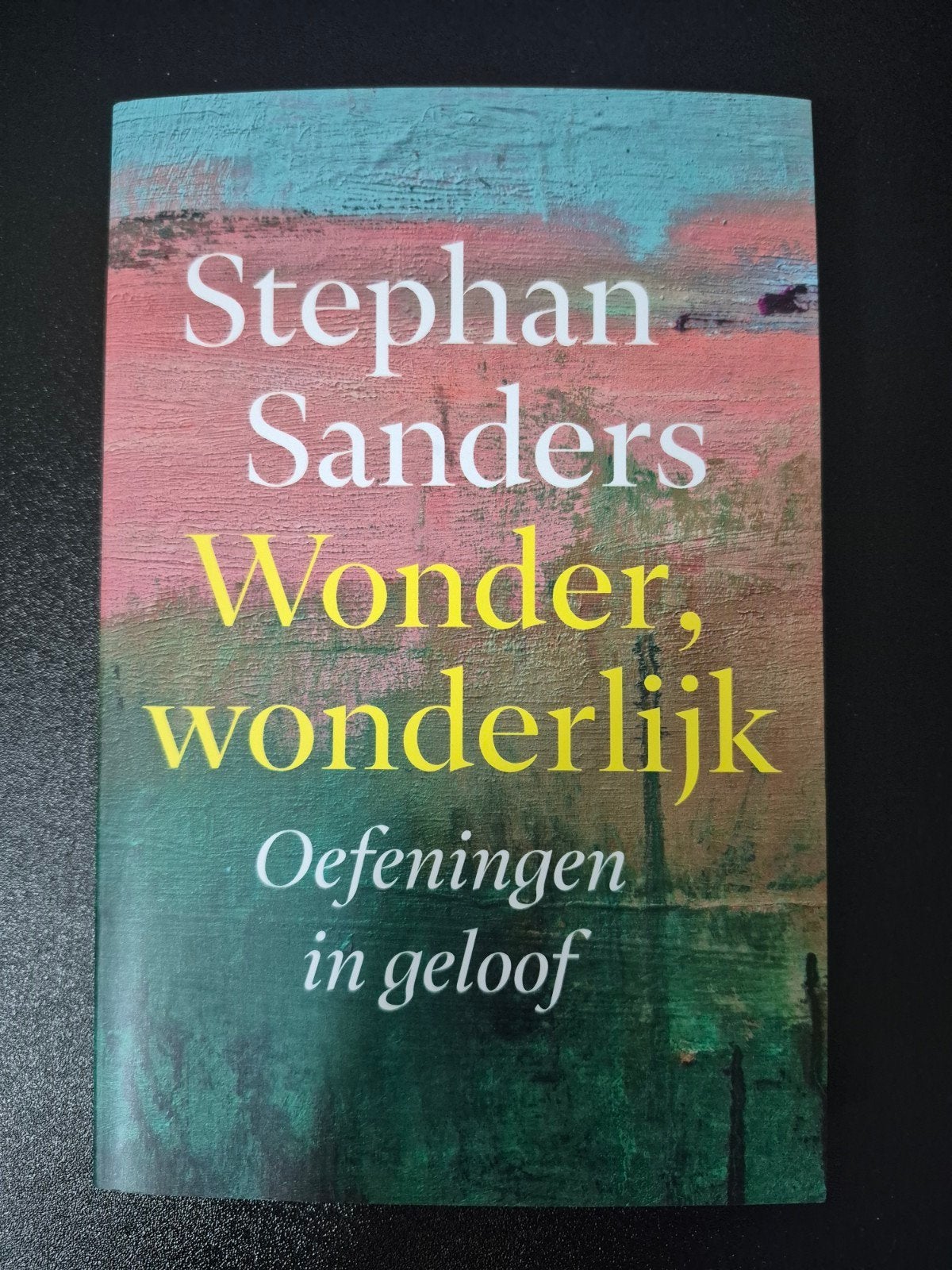 Wonder, wonderlijk: Oefeningen in geloof - Stephan Sanders, Boeken, Christendom | Katholiek, Ophalen of Verzenden, Zo goed als nieuw