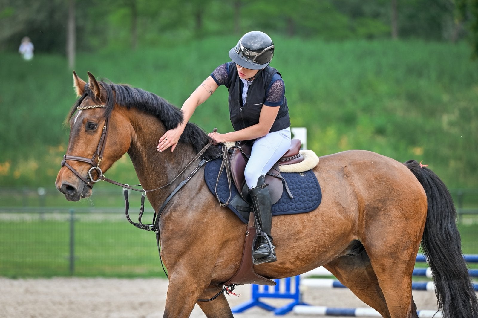 Lieve 4-jarige spring KWPN ruin met een gouden karakter, Dieren en Toebehoren, Paarden, Springpaard, Ruin, Met stamboom, B