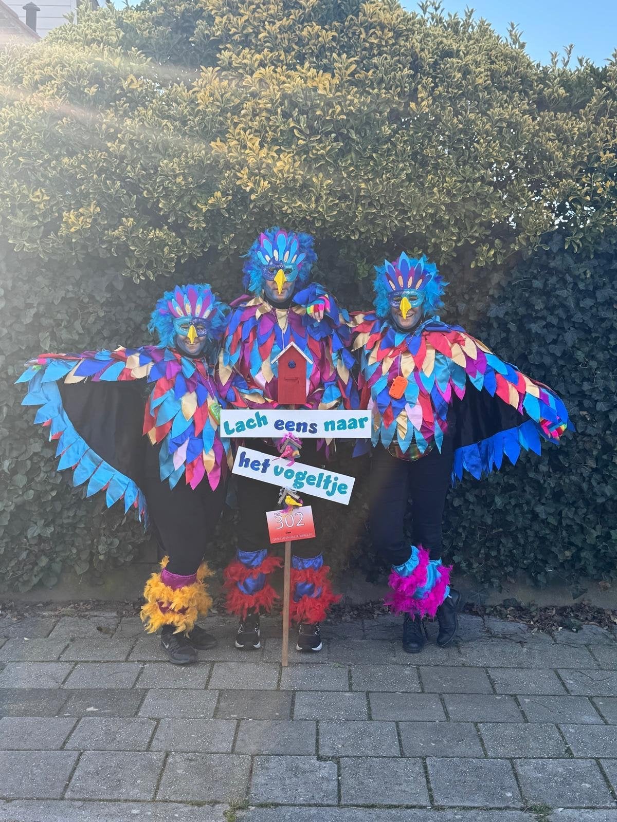 Carnavalskleding Vogelpakken (3 stuks), Ophalen, Carnaval, Maat 46/48 (XL) of groter, Kleding