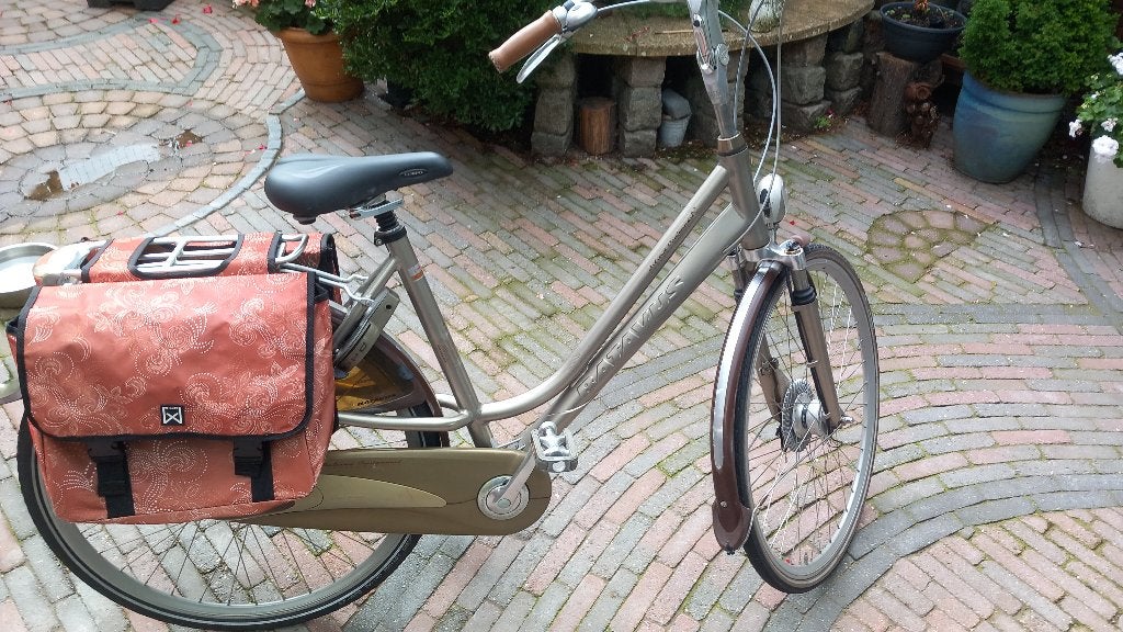 Foto 5 van Batavus Centennial Limited Edition Fiets