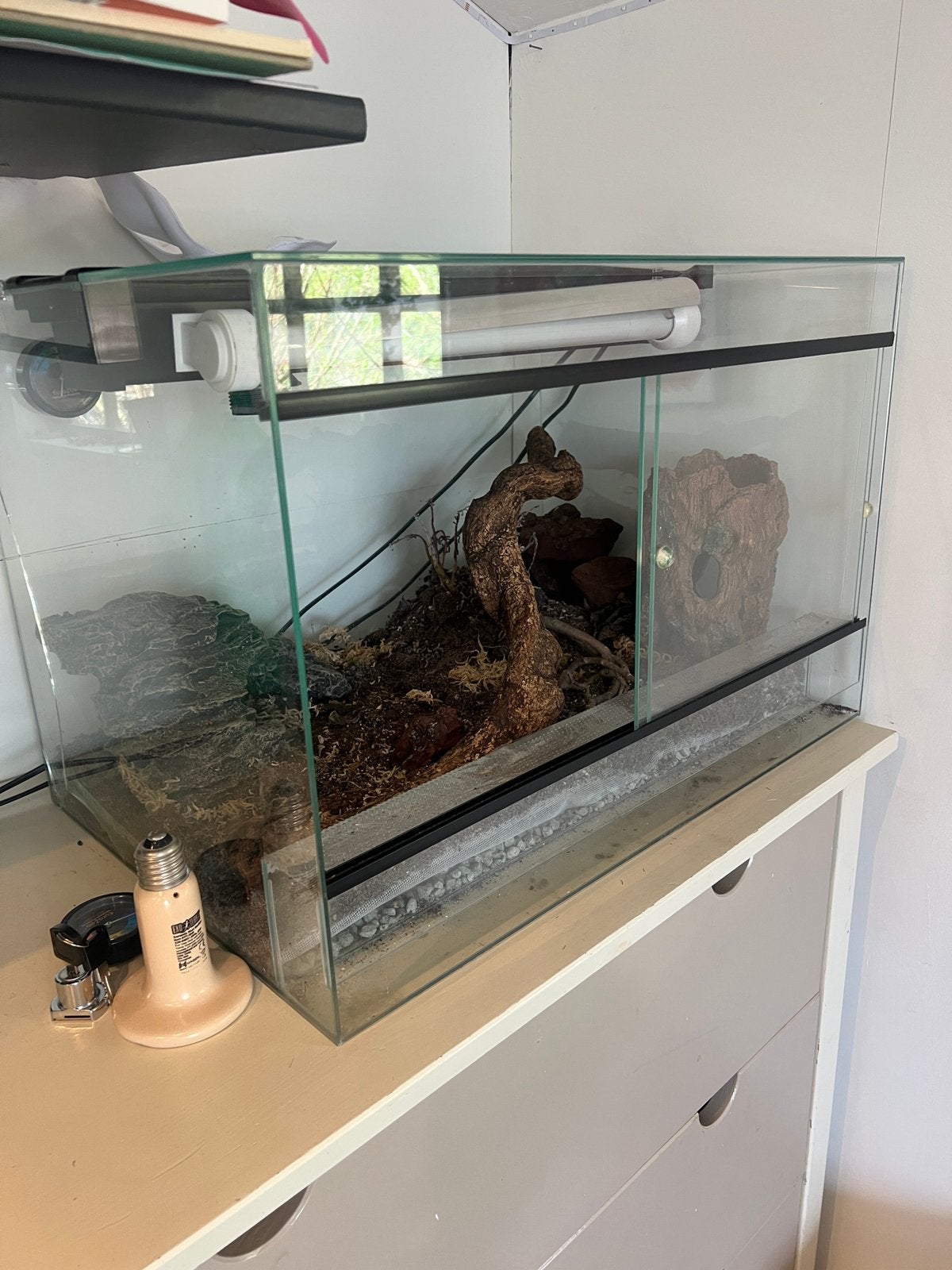 Gratis ophalen: terrarium 60x40x40, Dieren en Toebehoren, Reptielen en Amfibieën | Toebehoren, Ophalen, Gebruikt