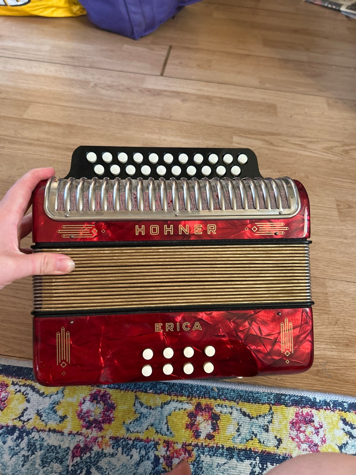 Hohner Erica Accordeon CF - Goede staat, Muziek en Instrumenten, Accordeons, Ophalen, Gebruikt, Overige formaten, Knopaccordeon