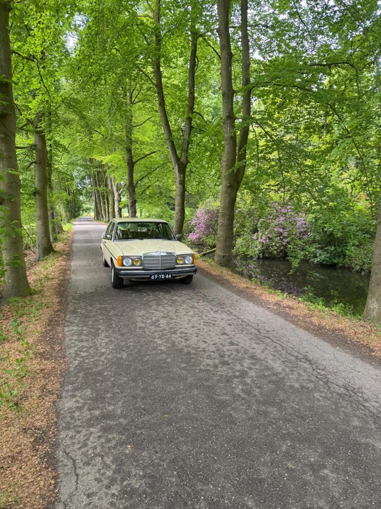 Mercedes-Benz Mercedes 1977 Beige, Ophalen of Verzenden