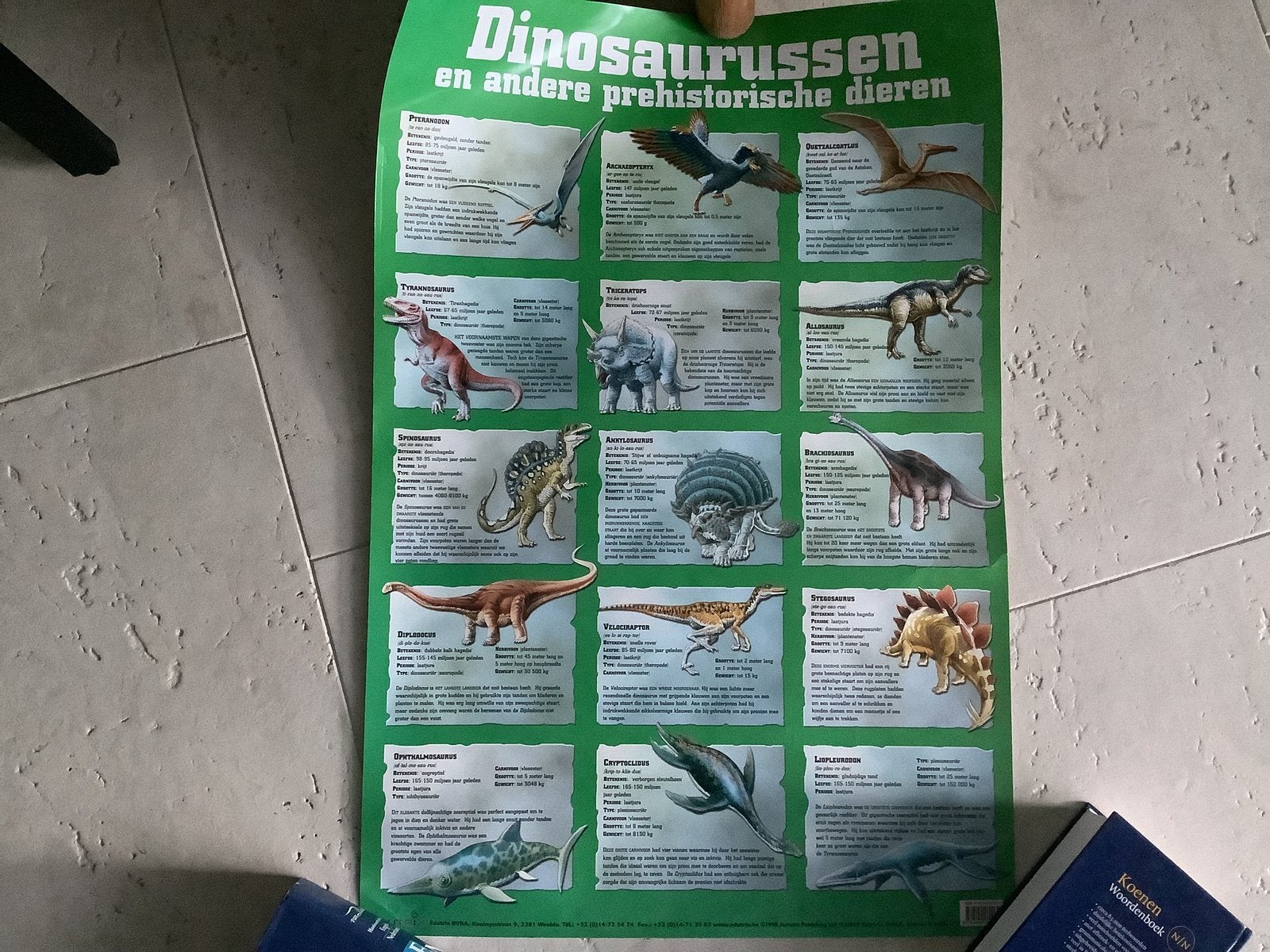 grote poster dino dinosaurus dinosaurussen dino’s 76x52 cm, Ophalen of Verzenden, Overige onderwerpen