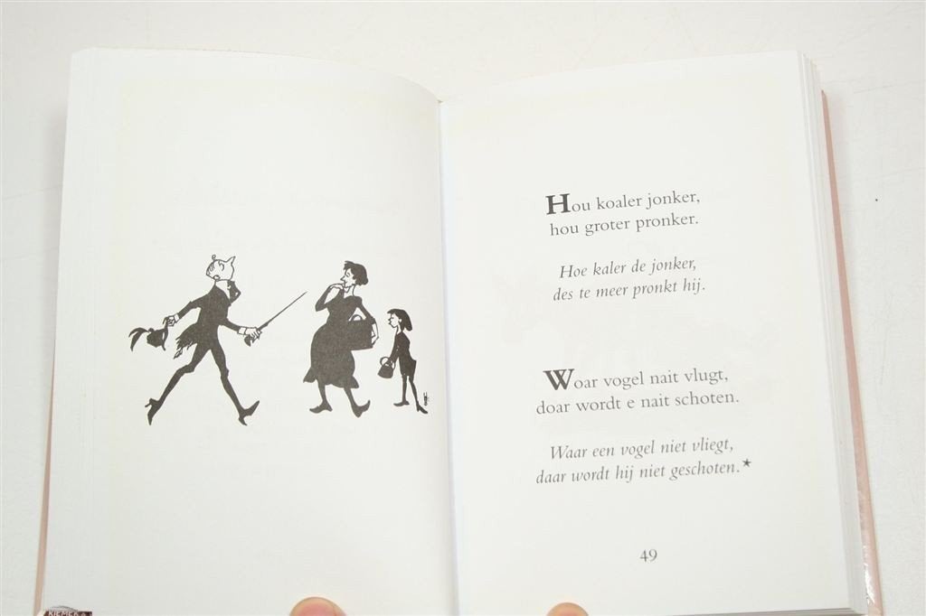 Groningse Wijsheden — Spreuken & Illustraties, Ophalen of Verzenden, Gelezen