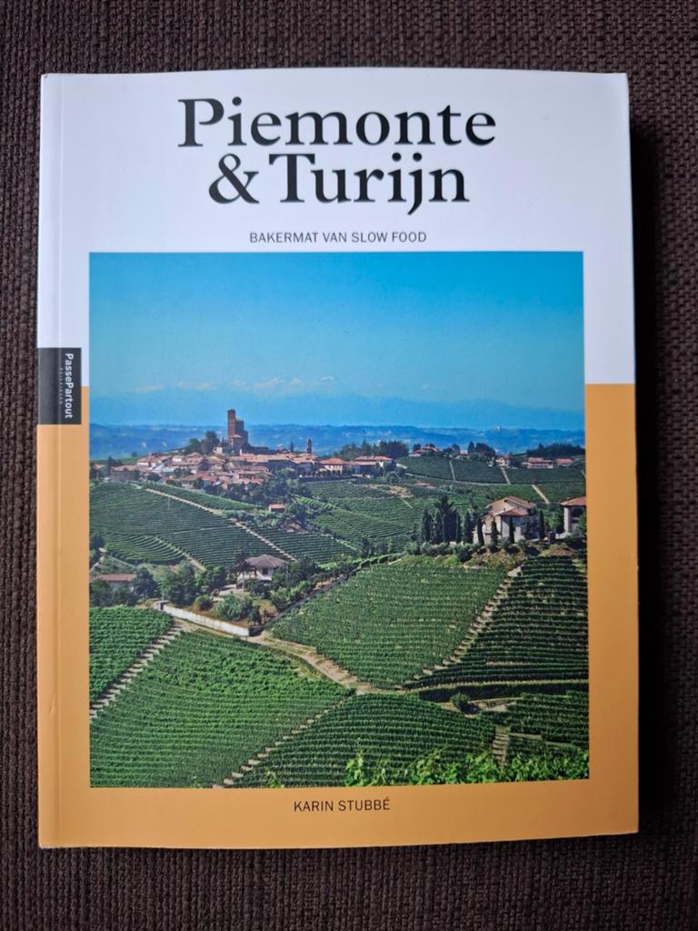 Karin Stubbé - Piemonte & Turijn, Boeken, Capitool, Europa, Ophalen of Verzenden, Zo goed als nieuw