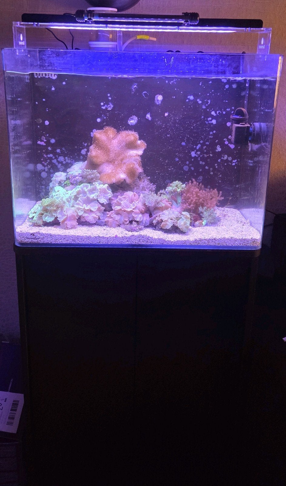 Blue Marine 120 incl koralen, Ophalen, Leeg aquarium