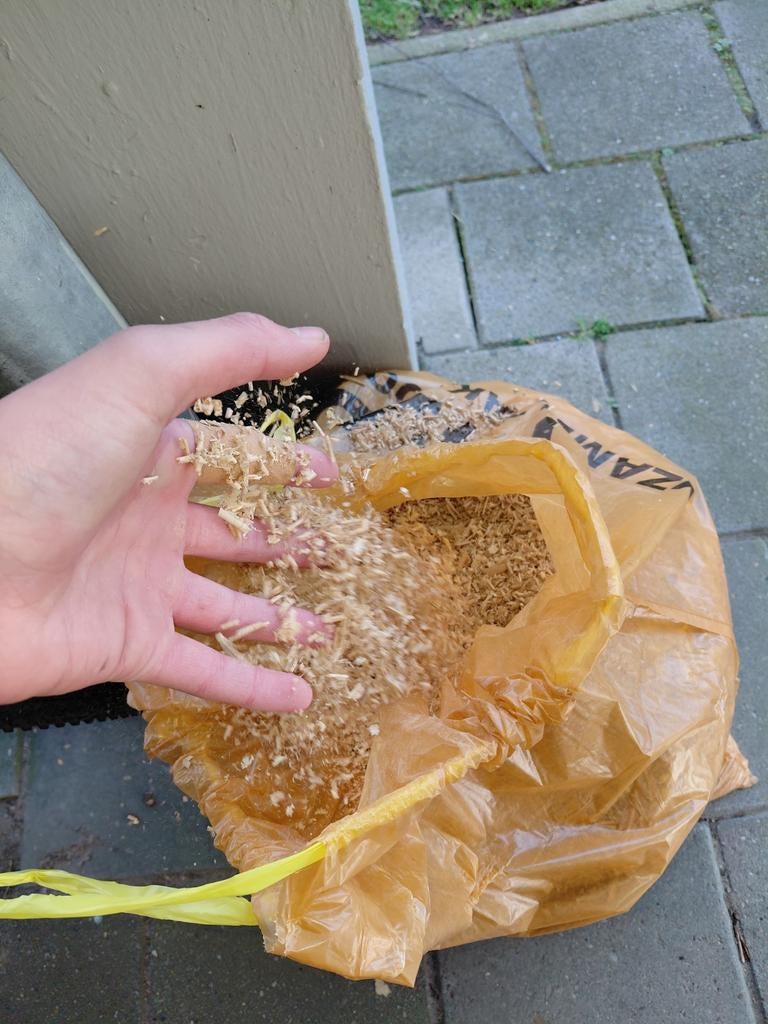 Verse onbewerkte eiken houtsnippers, Ophalen, Nieuw, Eiken, Overige typen