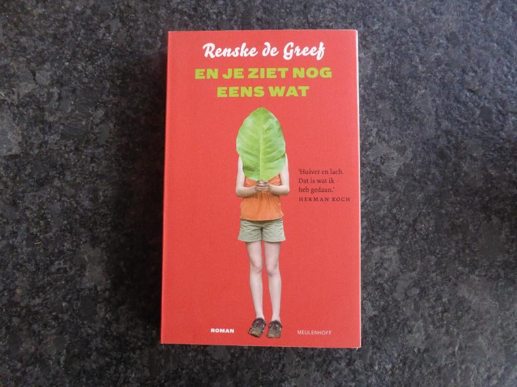 renske de graaf en je ziet nog eens wat, Ophalen of Verzenden, Zo goed als nieuw