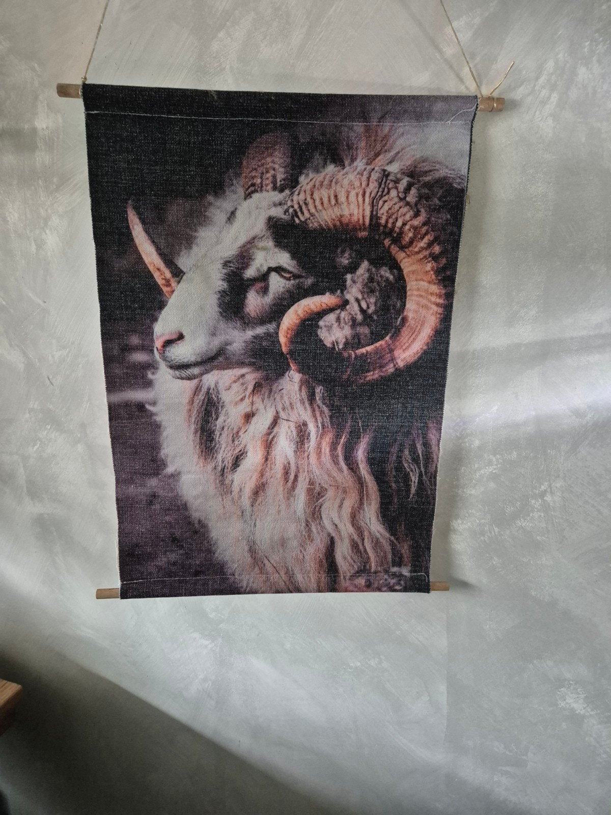 Prachtig doek met ramhoofd - sfeervolle verlichting, Ophalen