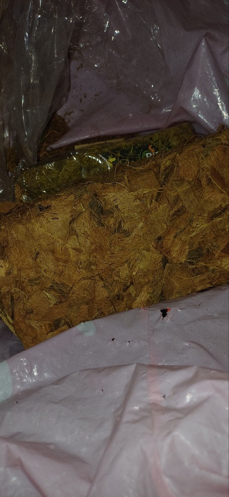 Terrarium vulling, Ophalen, Zo goed als nieuw