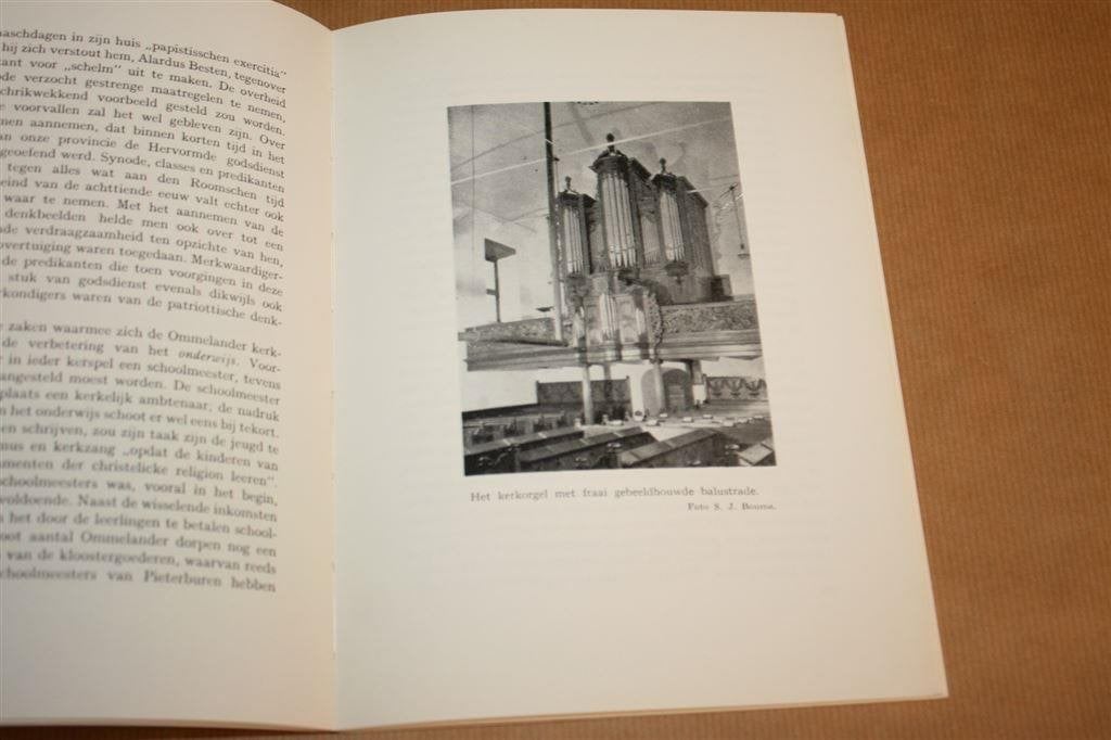 Pieterburen. Geschiedenis van kerk, kerspel en borg., Ophalen of Verzenden, Gelezen