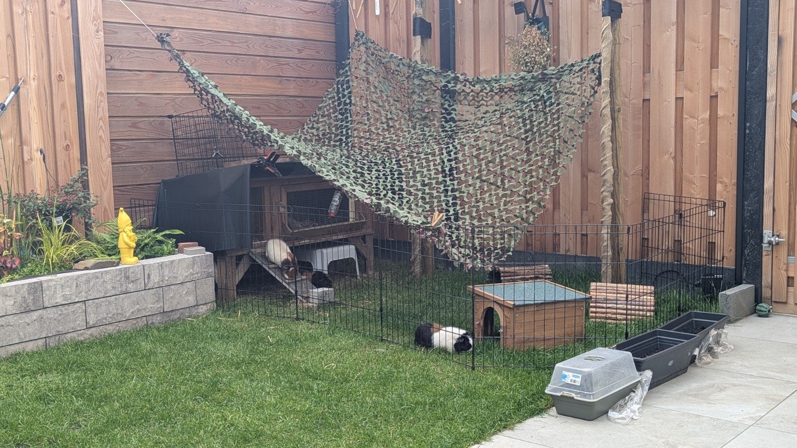 Stevige ren voor puppy/konijnen/cavia's. Merk Adori., Ophalen, Zo goed als nieuw, Overige typen