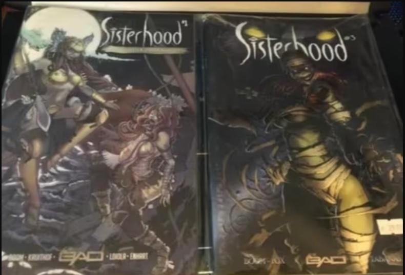 3x sisterhood kruithof k2, Meerdere stripboeken, Ophalen of Verzenden, Zo goed als nieuw