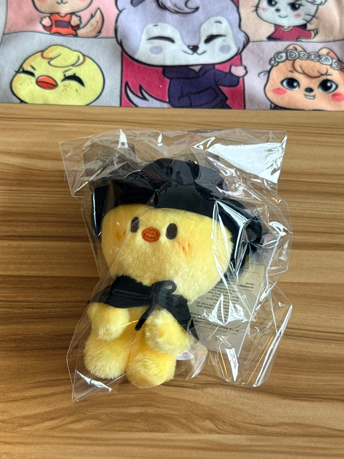 Stray Kids officieel BbokAri Felix skzoo Do It merch, Ophalen of Verzenden, Zo goed als nieuw, Foto of Kaart