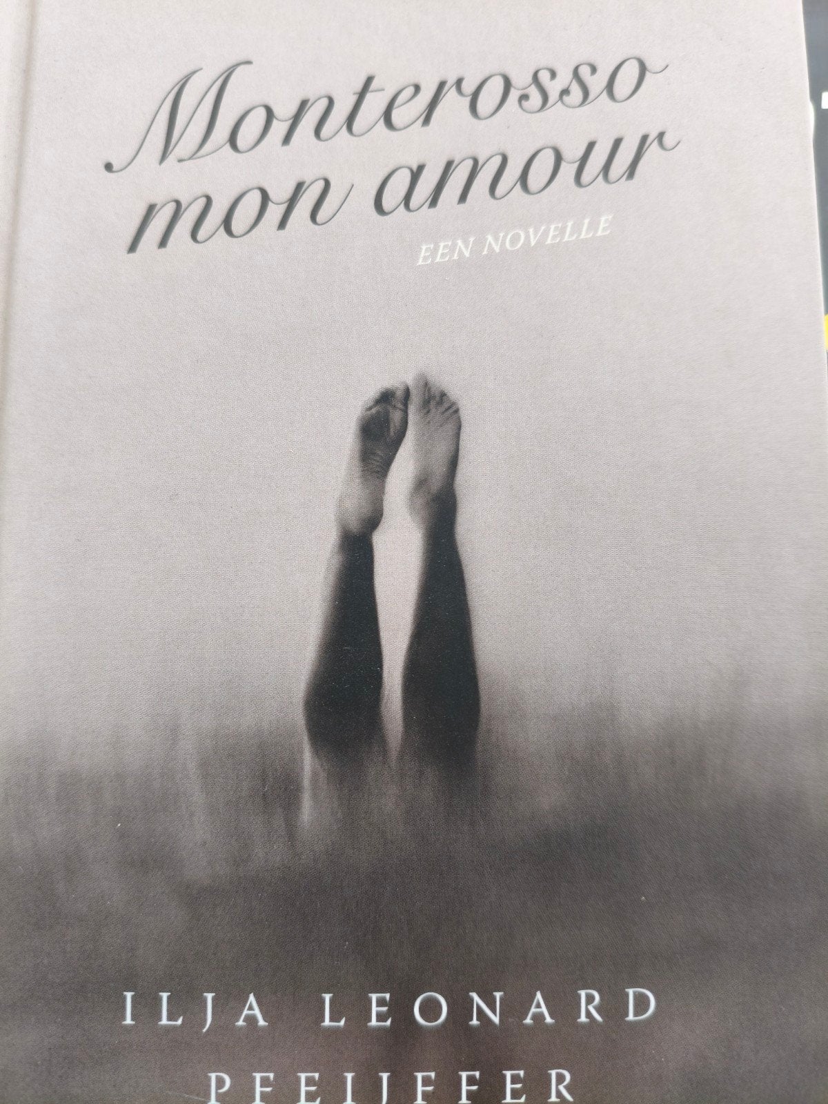 Monterosso mon amour - Ilja Leonard Pfeijffer, Boeken, Ophalen of Verzenden, Zo goed als nieuw, Ilja Leonard Pfeijffer