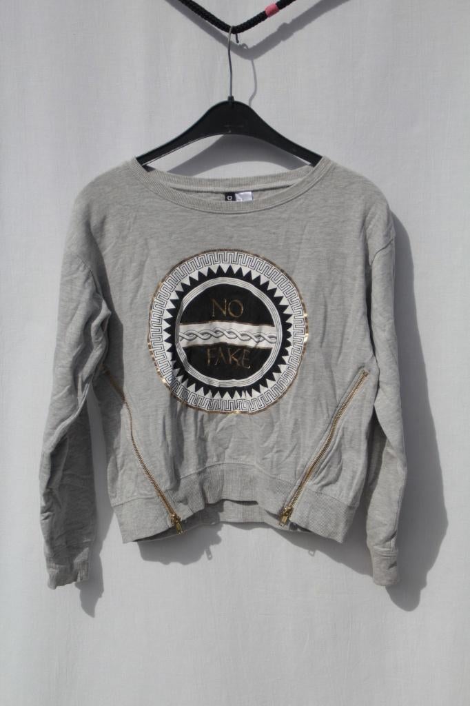 Grijze damestrui.Opdruk 'no fake'.Mt XS.Merk Divided, ., Ophalen of Verzenden, Zo goed als nieuw, Maat 34 (XS) of kleiner