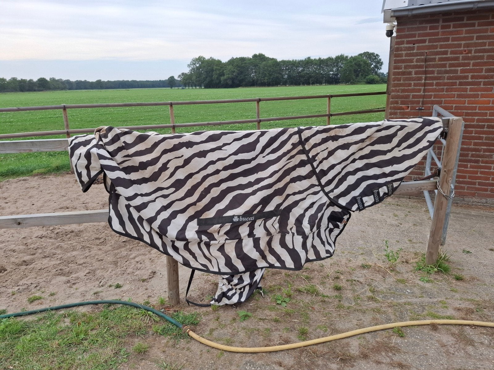 Bucas sweet itch zebra, Ophalen of Verzenden, Zo goed als nieuw, Deken, Bucas