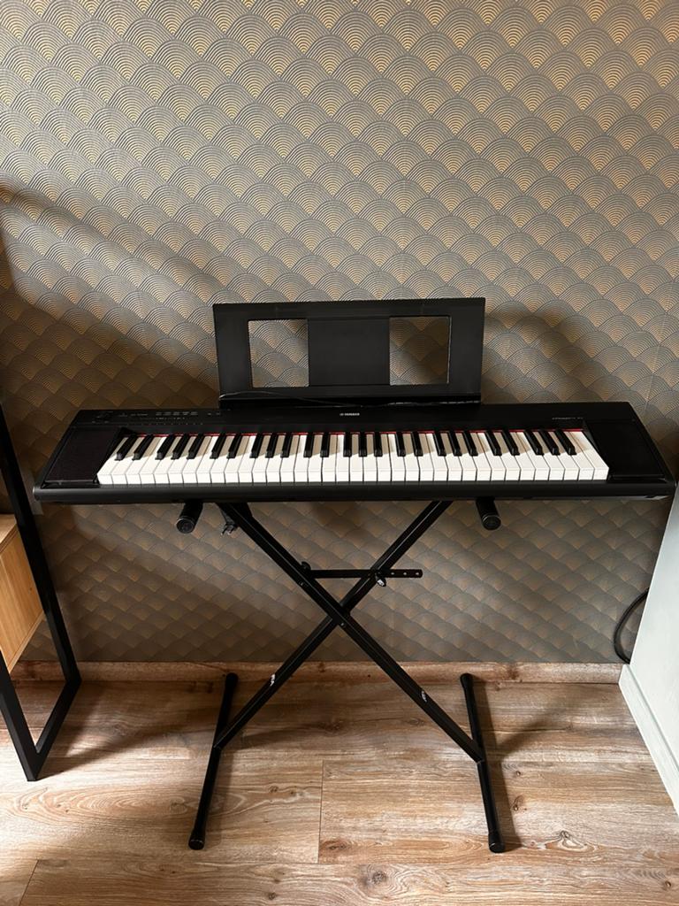 Yamaha Piaggero NP-12, Muziek en Instrumenten, 61 toetsen, Yamaha, Ophalen of Verzenden, Zo goed als nieuw